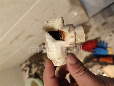 东阁镇自来水管道漏水检测