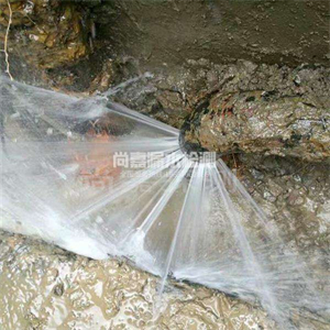 东阁镇消防管道漏水检测